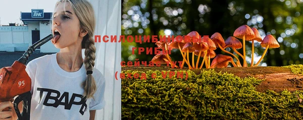 молекула духа Алексеевка