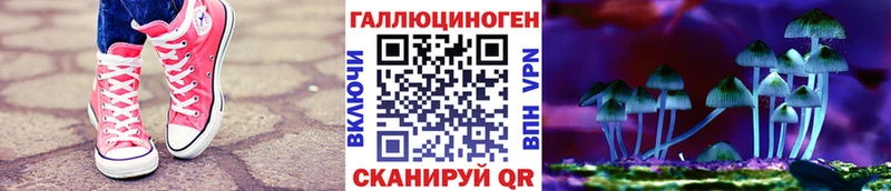 Псилоцибиновые грибы прущие грибы  продажа наркотиков  Лесной 